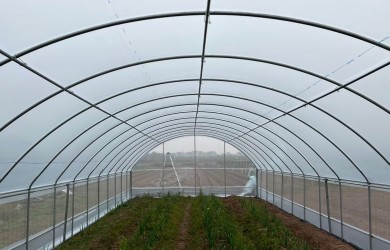 MẪU NHÀ TRỒNG RAU MỚI